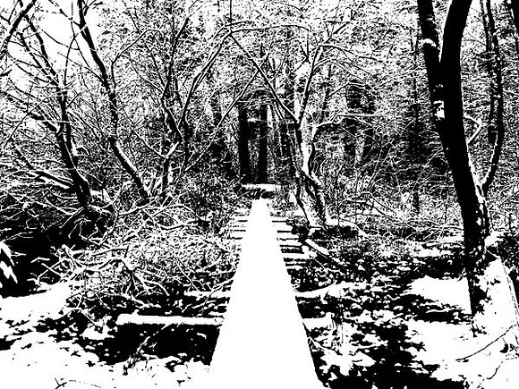 Woodland Walk