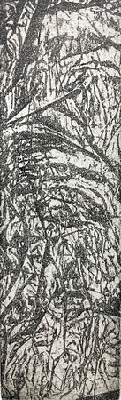 Tree Branches, 1