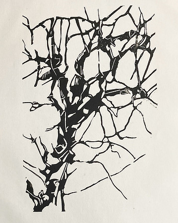 Winter Tree, Lino