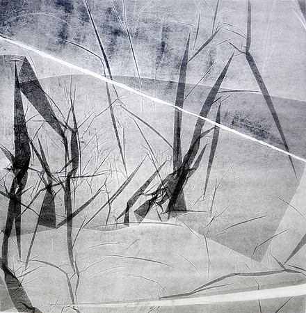 Natural Forms Monoprint
